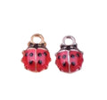Charm Coccinella