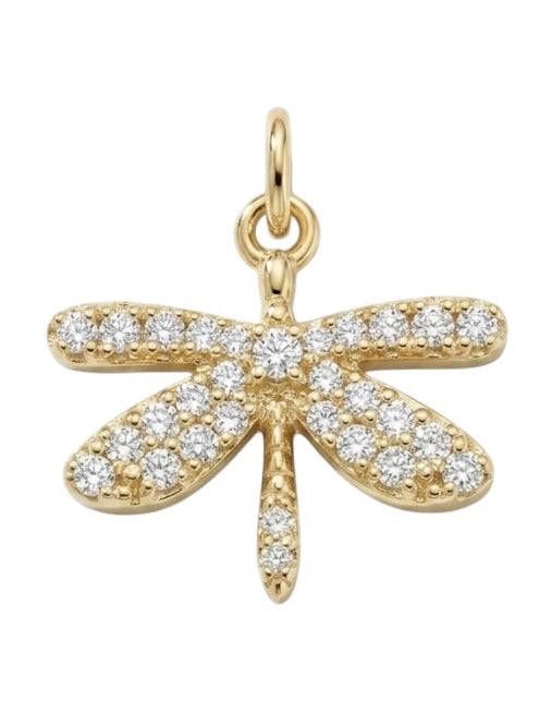Charm Libellula